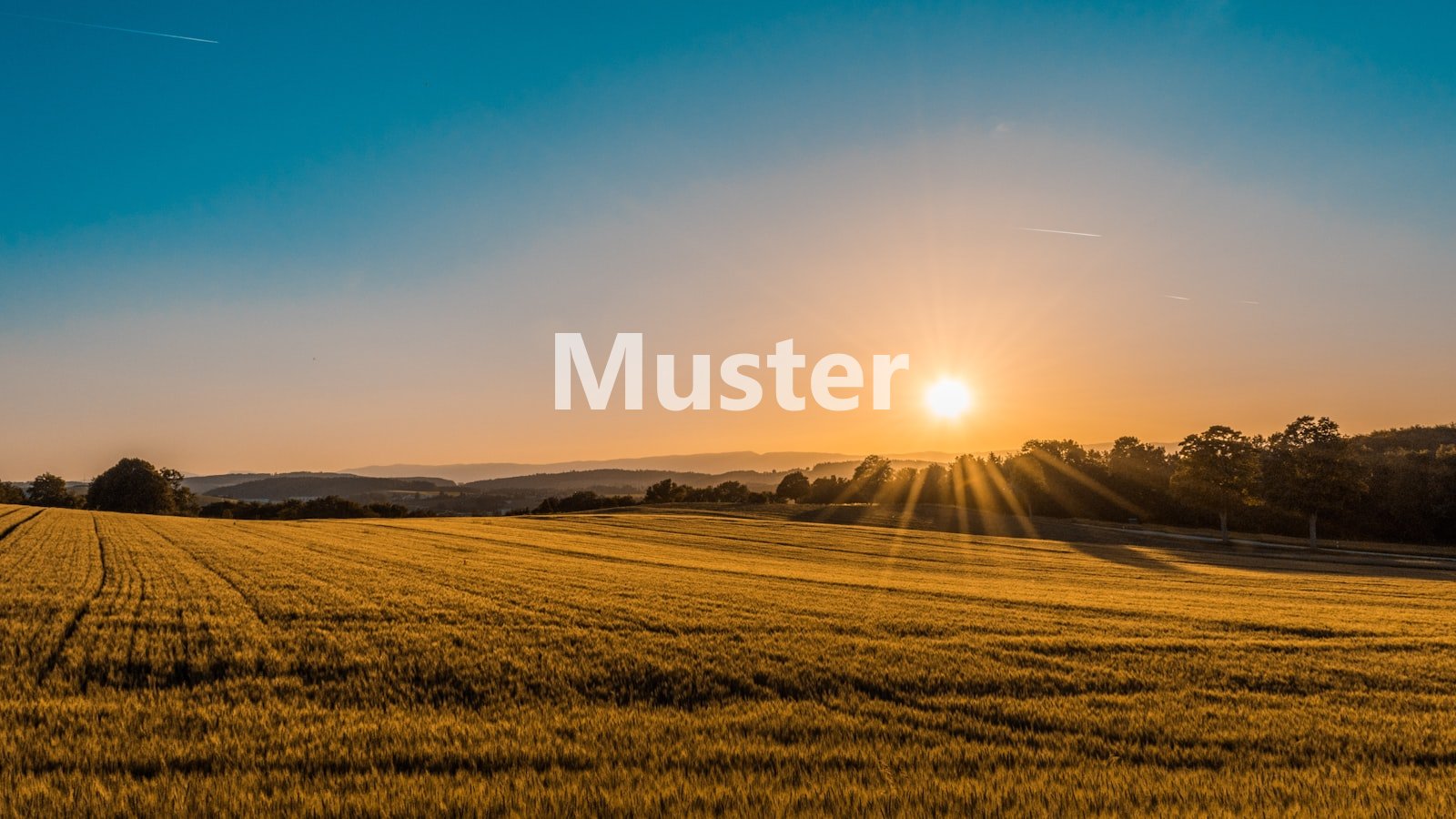 Angebot seed Nr.40 – aus der Region